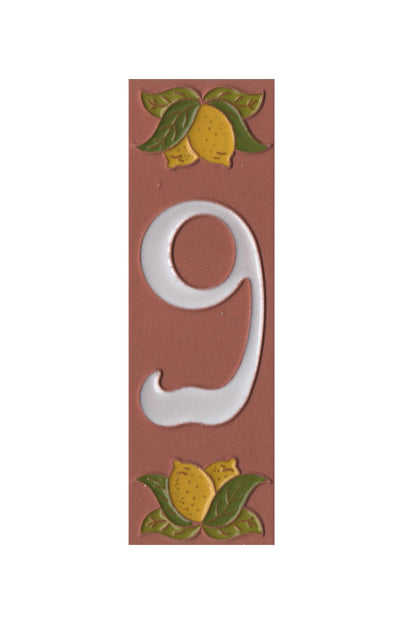 Terracotta Hand-painted Lemon Designed Ceramic House Number Tiles 15 x 4.8 cm