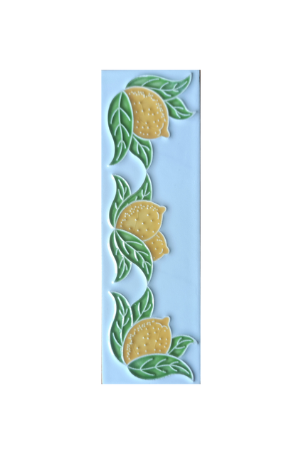 Terracotta Hand-painted Lemon Designed Ceramic House Number Tiles 15 x 4.8 cm